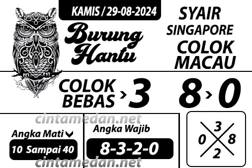 SYAIR SGP VIP
